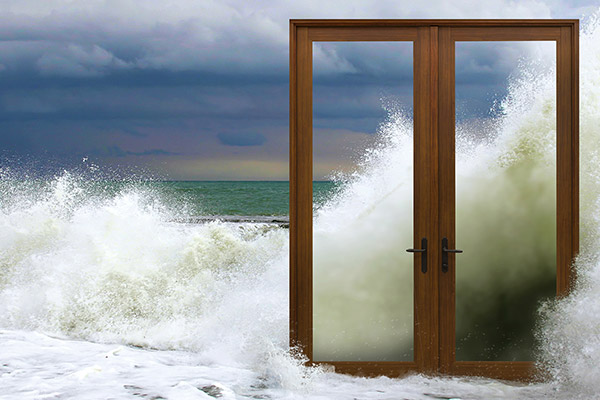 Impact Resistant Doors